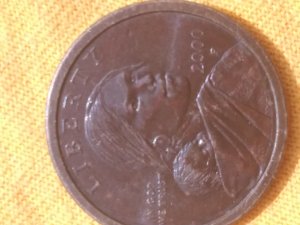 2000-P-Sacagawea-Possible-Experimental-Rinse?