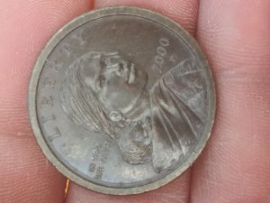 2000-P-Sacagawea-Possible-Experimental-Rinse?