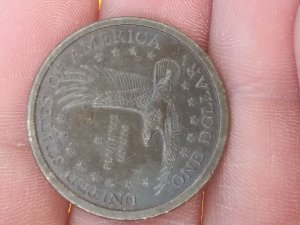 2000-P-Sacagawea-Possible-Experimental-Rinse?