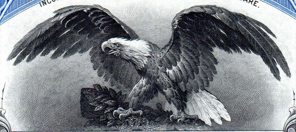 Bald-Eagle-Vignettes