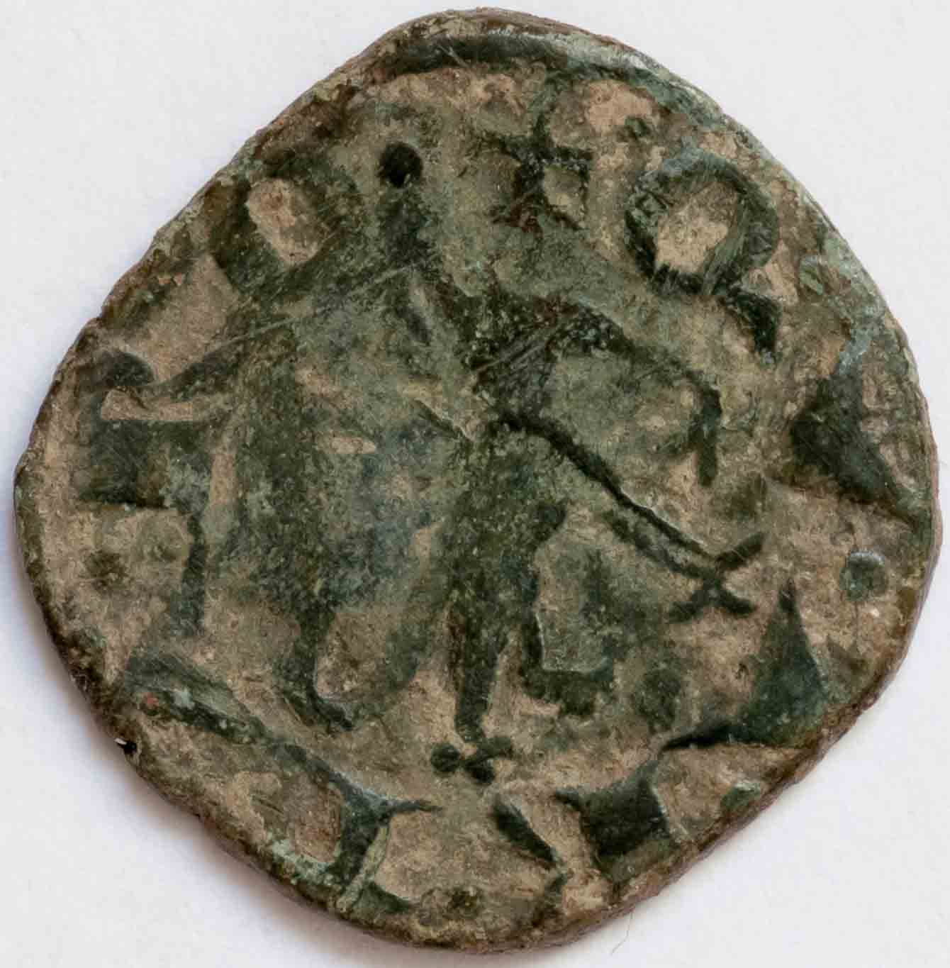 Post-Your-Coins-Representing-The-Animal-Kingdom.