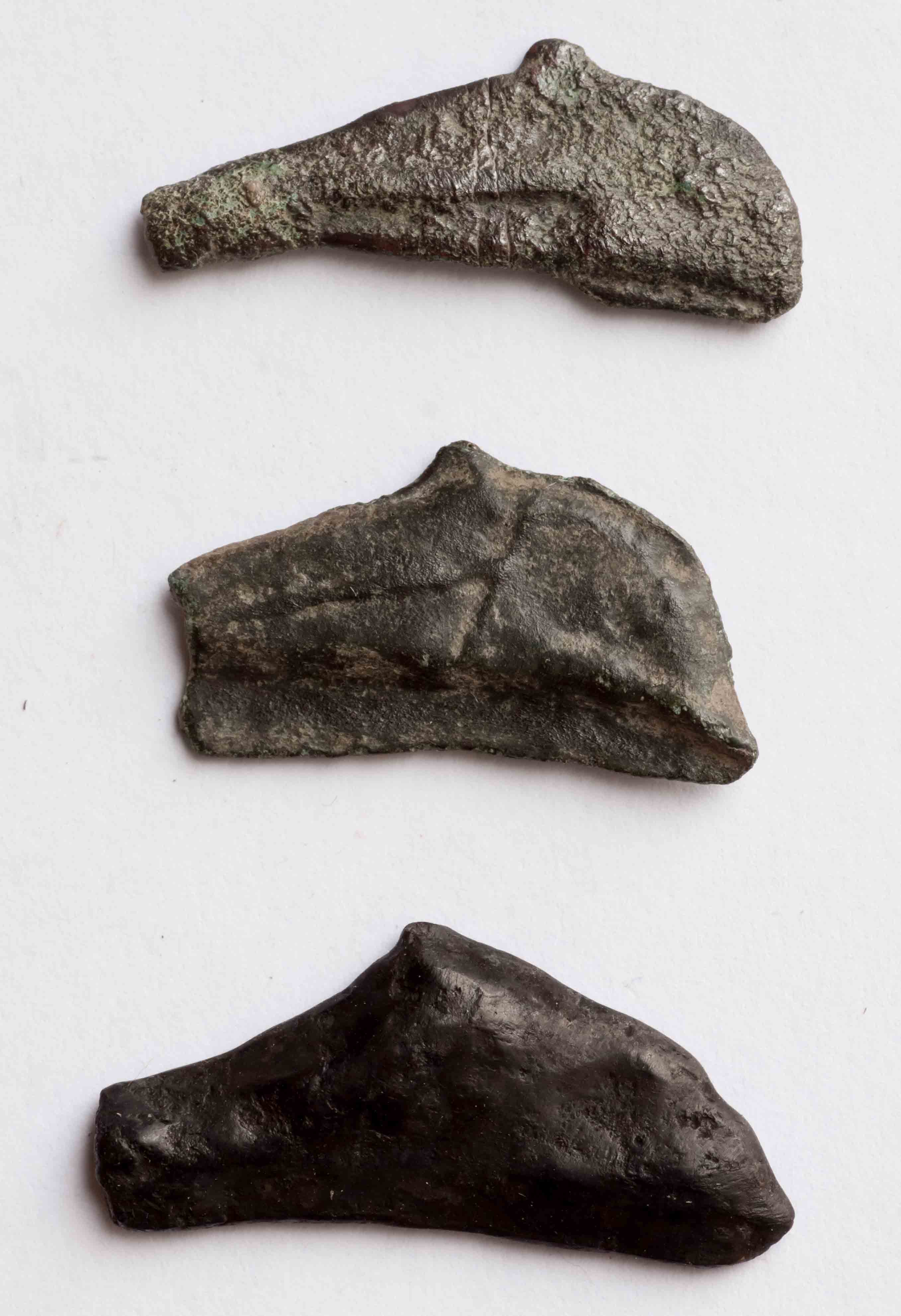 Post-Your-Coins-Representing-The-Animal-Kingdom.