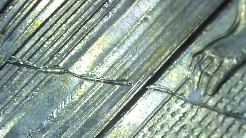 2019-Quarter-American-Memorial-Park-Die-Crack?