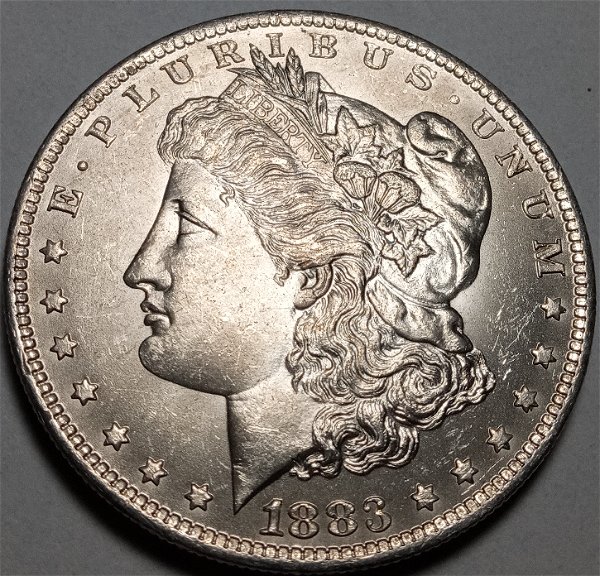 1883-Morgan-Dollar-Grade