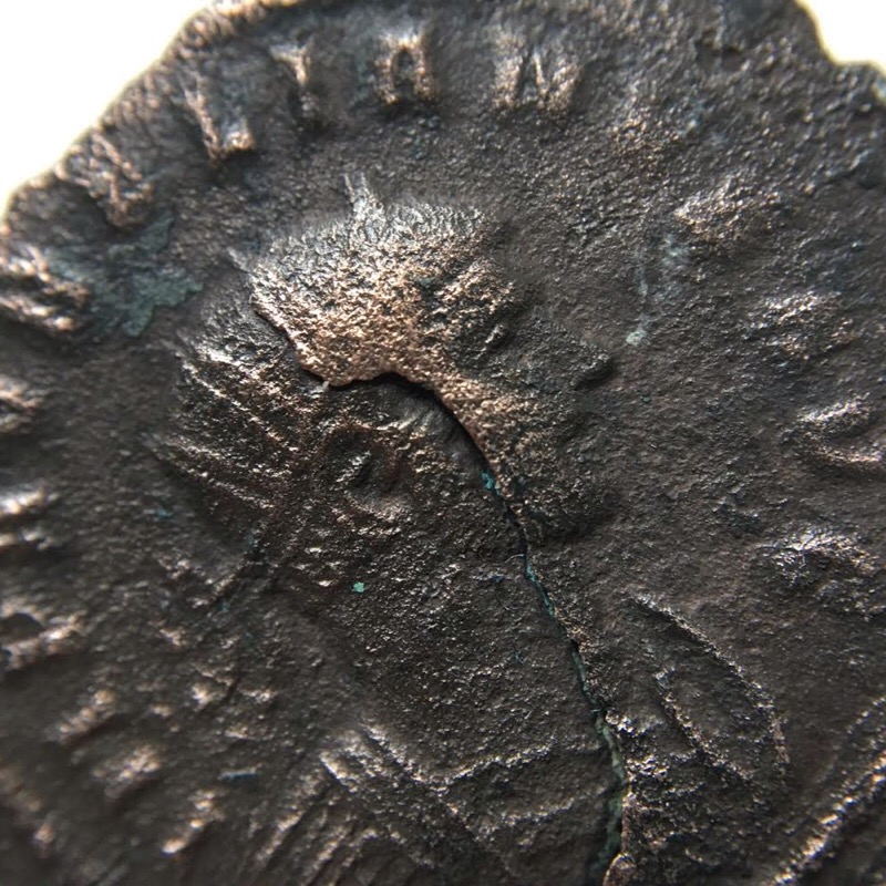 Any-Possible-Id,-At-Least-The-Emperor?
