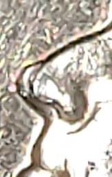 1969-S-Jefferson-Nickel.-He-Has-A-DD-Nose-And-More