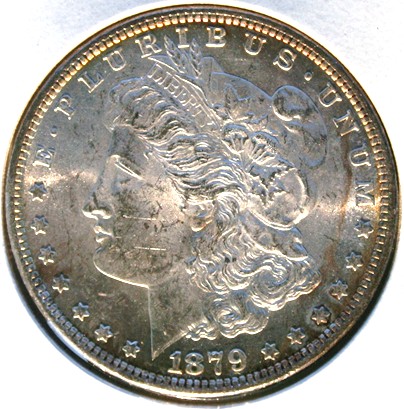 New-Batch-Of-Morgans