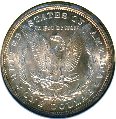 New-Batch-Of-Morgans