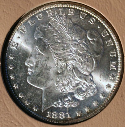 New-Batch-Of-Morgans