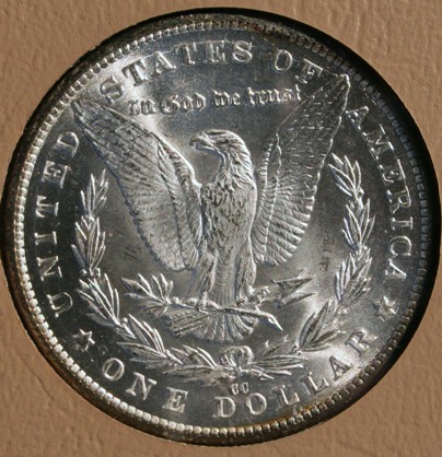 New-Batch-Of-Morgans