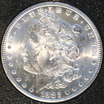 New-Batch-Of-Morgans