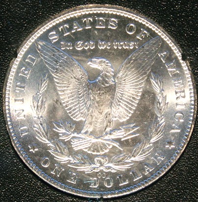 New-Batch-Of-Morgans