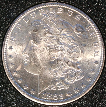 New-Batch-Of-Morgans