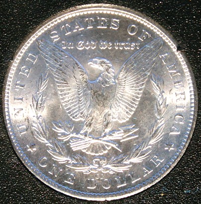 New-Batch-Of-Morgans