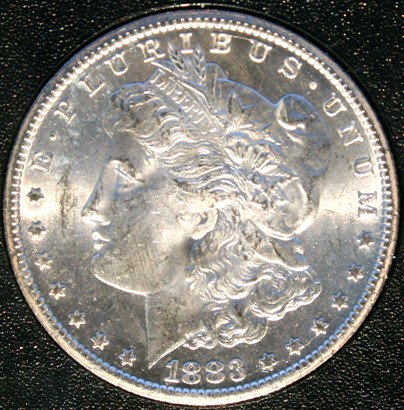 New-Batch-Of-Morgans