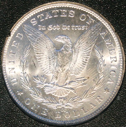 New-Batch-Of-Morgans