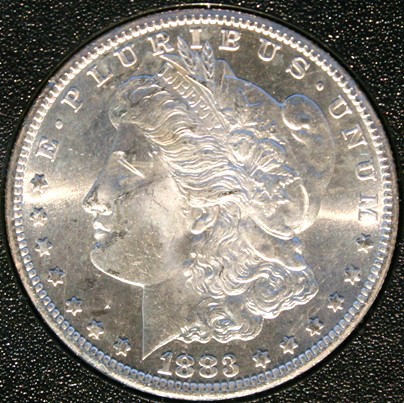 New-Batch-Of-Morgans