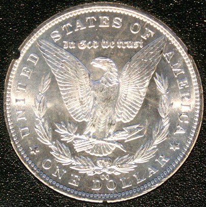 New-Batch-Of-Morgans