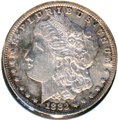 New-Batch-Of-Morgans