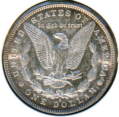 New-Batch-Of-Morgans