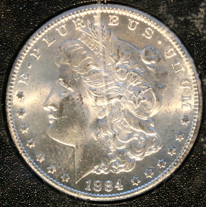New-Batch-Of-Morgans