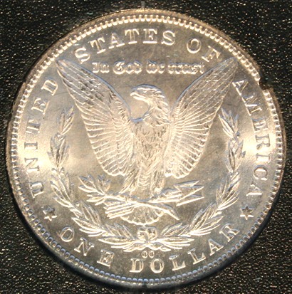 New-Batch-Of-Morgans