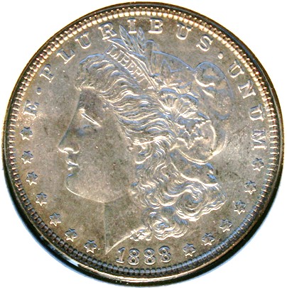 New-Batch-Of-Morgans