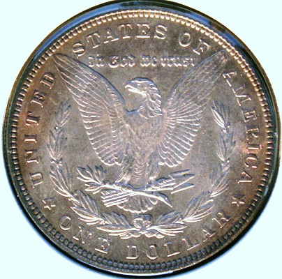 New-Batch-Of-Morgans