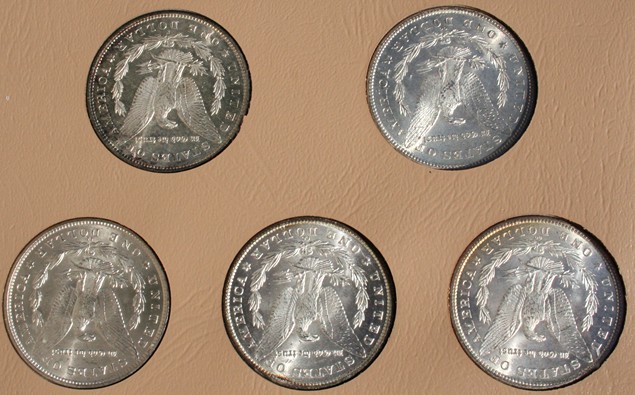 My-7171-Morgan-Dollar-Date-Set