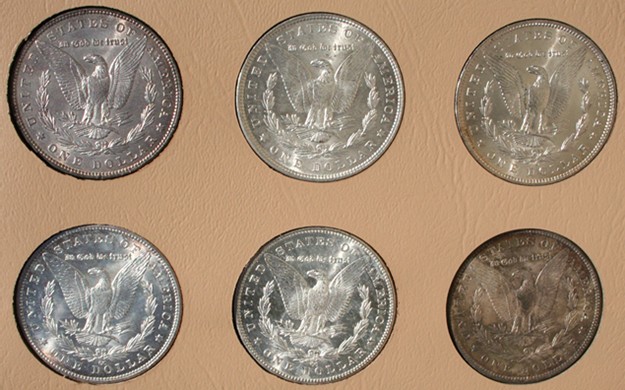 My-7171-Morgan-Dollar-Date-Set