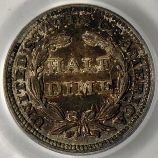 CC-Half-Eagle