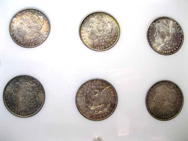Morgan-Silver-Dollar-Goal---What-Do-You-Think?