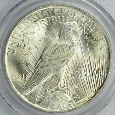 Morgan-Dollar-Versus-Peace-Dollar