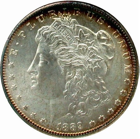 Guess-The-Grade-1889-S-Morgan-Dollar
