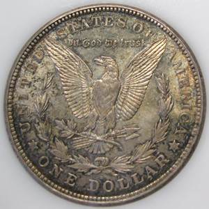 The-100-Days-Of-19th-Century-US-Coins-Plus-64-Days-Of-20th