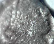 Please-Help-Identify-This-Roman-Silver-Coin