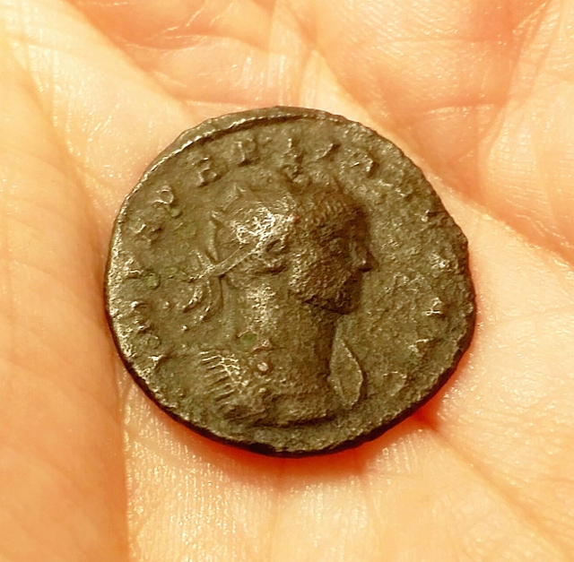Brand-New-Need-Help-W/-Identification