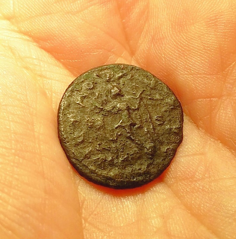 Brand-New-Need-Help-W/-Identification