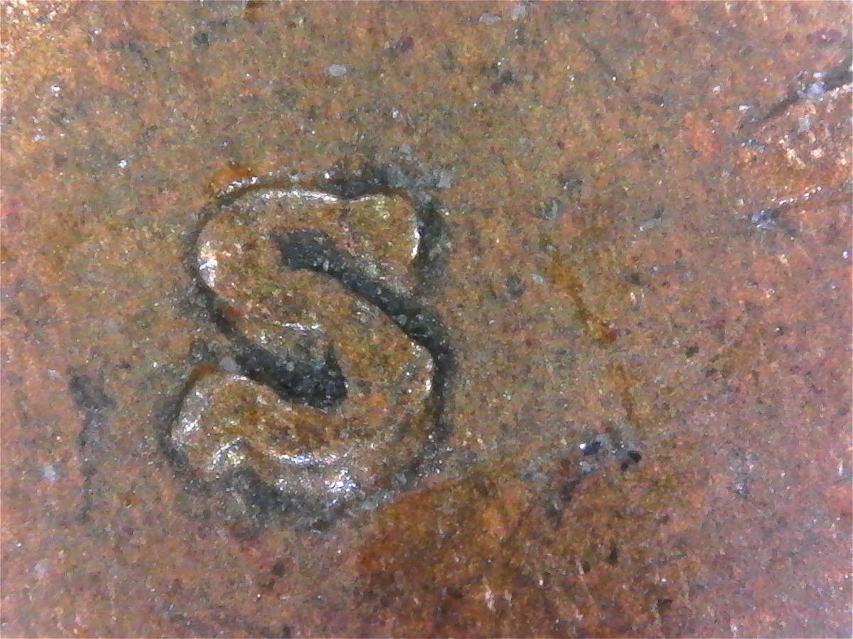 1919-S-LWC-Found-CRH.--RPM?