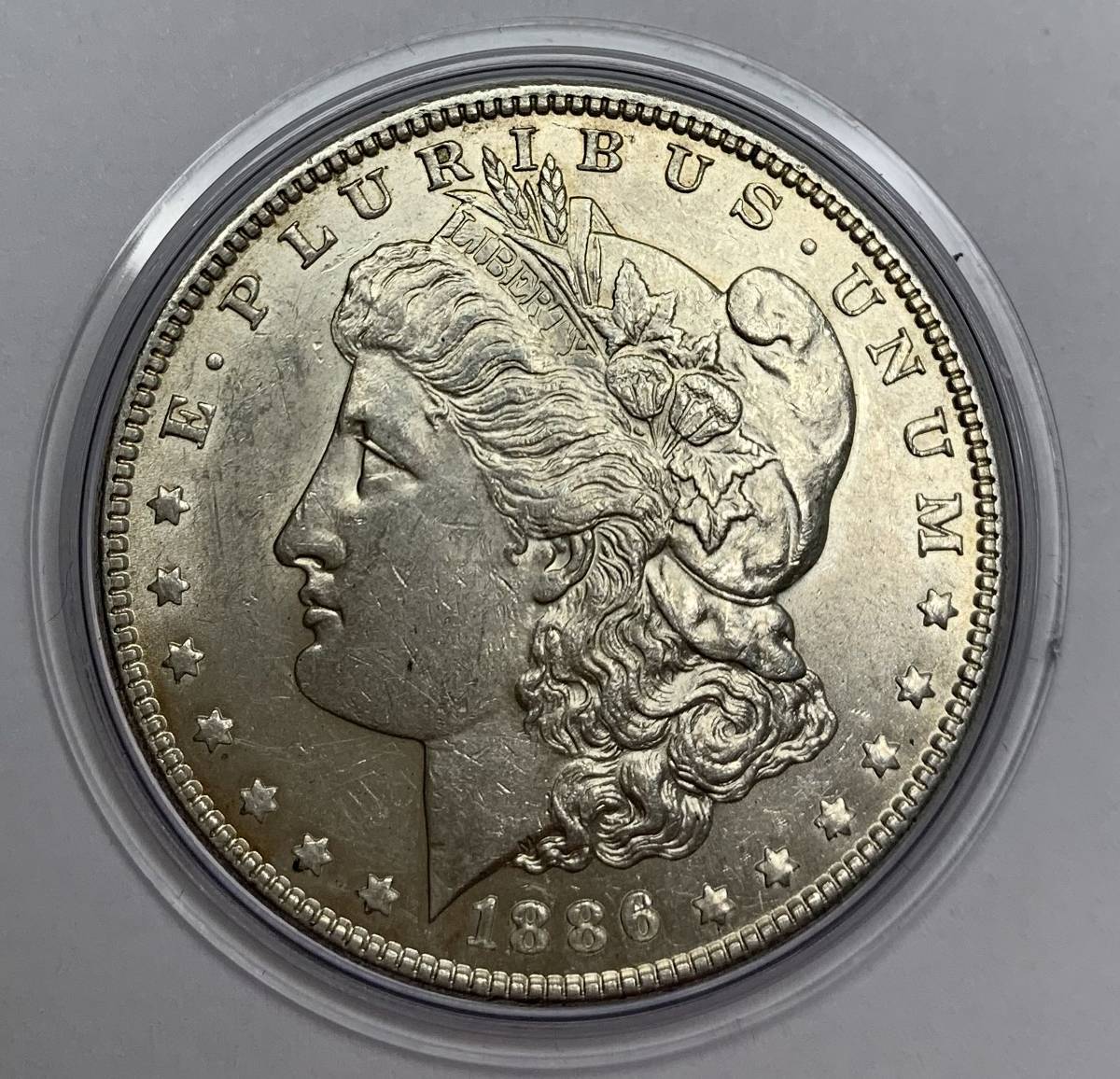 Help-Grading-My-Coins:-No.-10---Morgan-Dollar-1886---P