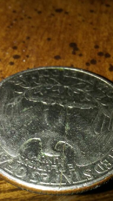 Possible-Quarter-Error?
