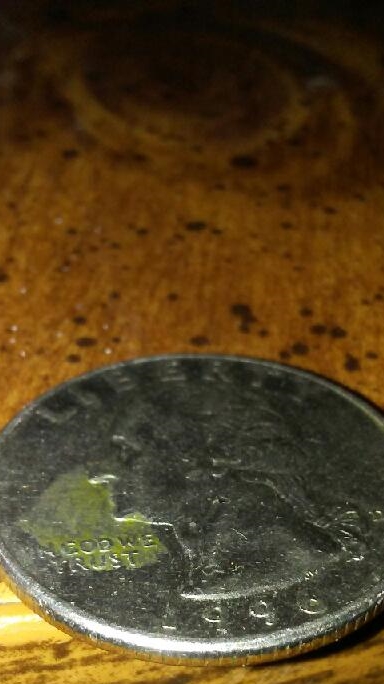 Possible-Quarter-Error?