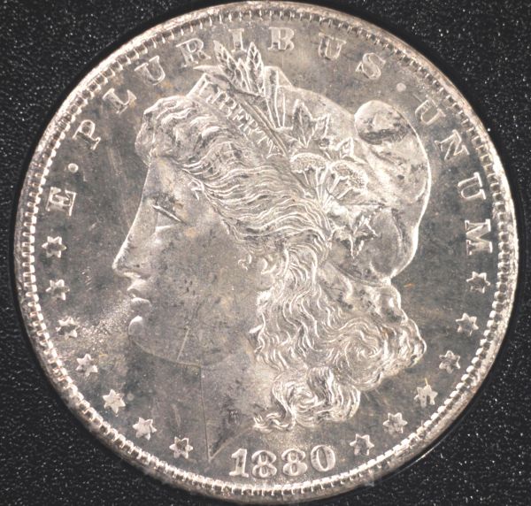Canon-T1i-&-Bellows-GSA-Dollars
