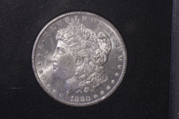 Canon-T1i-&-Bellows-GSA-Dollars