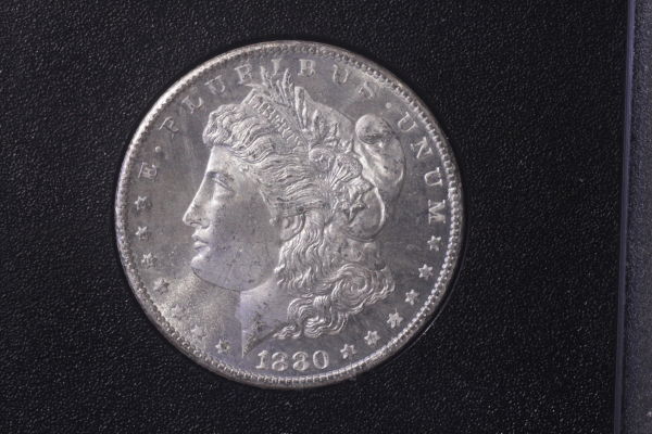 Canon-T1i-&-Bellows-GSA-Dollars