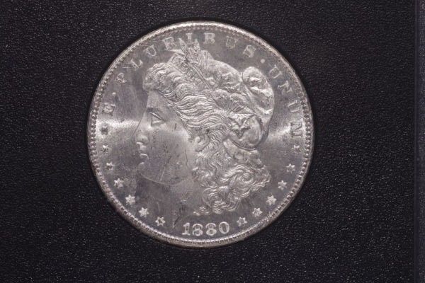 Canon-T1i-&-Bellows-GSA-Dollars