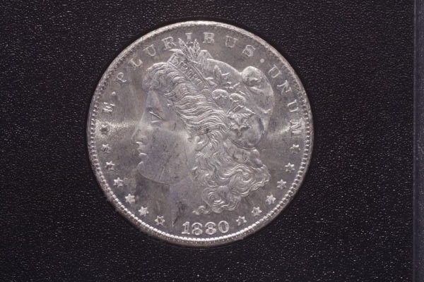 Canon-T1i-&-Bellows-GSA-Dollars