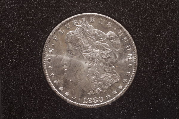 Canon-T1i-&-Bellows-GSA-Dollars