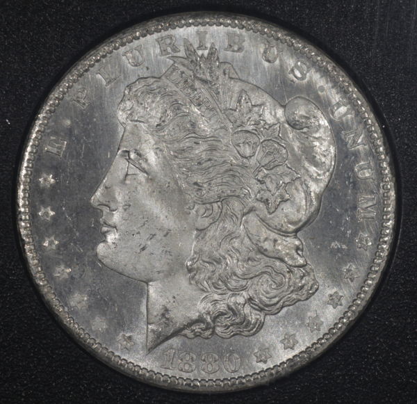 Canon-T1i-&-Bellows-GSA-Dollars