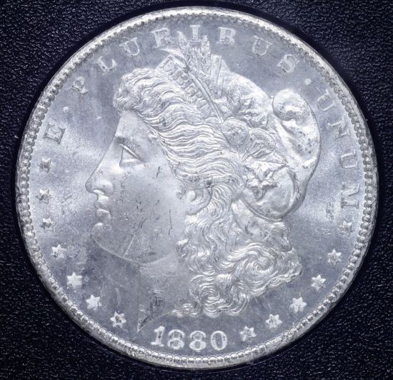 Canon-T1i-&-Bellows-GSA-Dollars